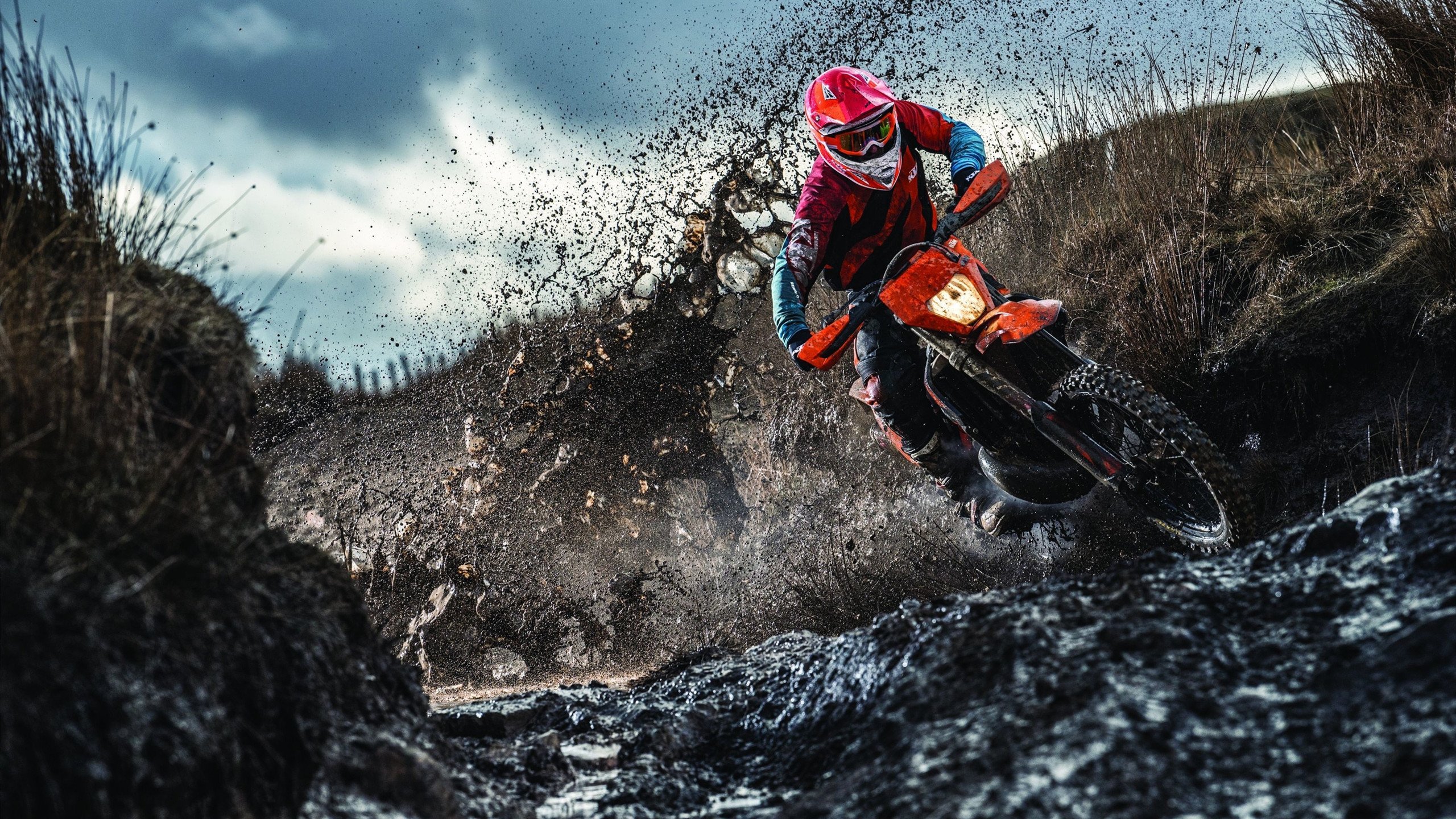 墨西哥马术队在巴黎奥运会三项赛中获得第七名，表现稳健。，墨西哥马拉松